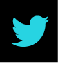 boton hacia twitter logotipo de twitter